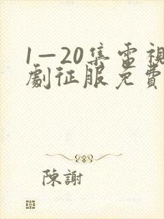 1—20集电视剧征服免费观看封面