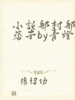 小说那村那人那痞子by青灯封面