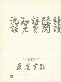 沈知语陆辞衍小说免费阅读封面