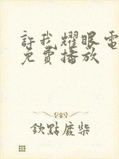 许我耀眼电视剧免费播放