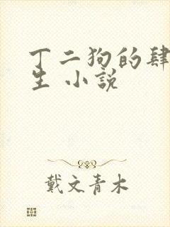 丁二狗的肆意人生 小说