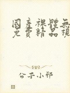 国产裸体无遮挡免费精品视频