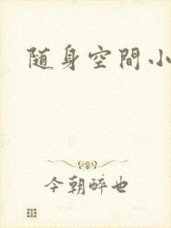 随身空间小说封面