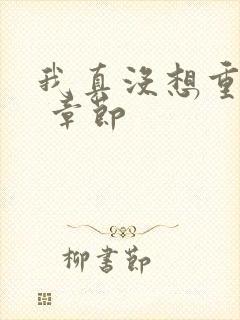 我真没想重生啊 章节