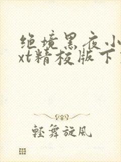 绝境黑夜小说txt精校版下载