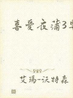 喜爱夜蒲3粤语