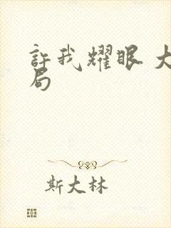 许我耀眼 大结局