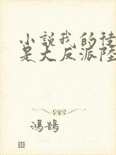 小说我的徒弟都是大反派陆州阅读