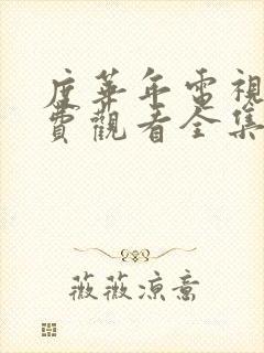 度华年电视剧免费观看全集高清14封面