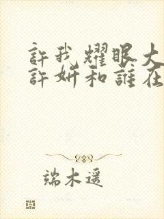 许我耀眼大结局许妍和谁在一起