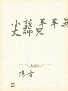 小说 平平无奇大师兄