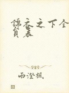 锦衣之下全部演员表封面