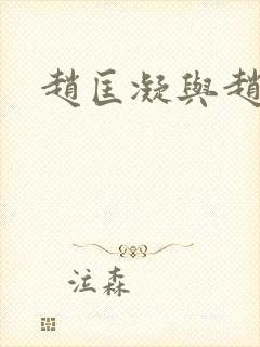 赵匡凝与赵匡胤封面