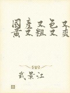 国产又色又猛又黄又粗又爽的视频