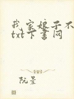 我家娘子不对劲txt下书网封面
