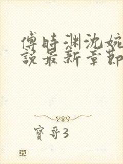 傅时渊沈婉婷小说最新章节