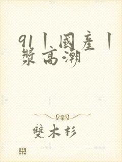 91丨国产丨白浆高潮