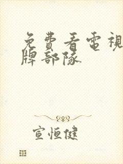 免费看电视剧王牌部队