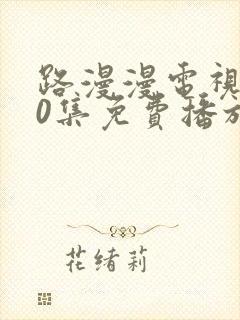 路漫漫电视剧40集免费播放