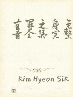 有罪之身免费观看全集完整版高清