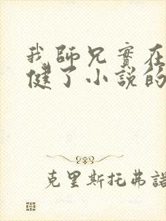 我师兄实在太稳健了小说的