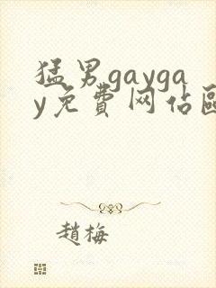 猛男gaygay免费网站欧美