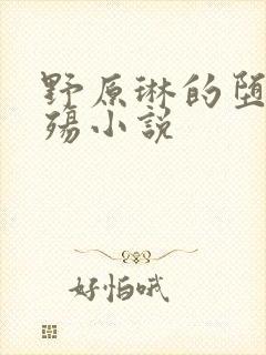 野原琳的堕落浮殇小说