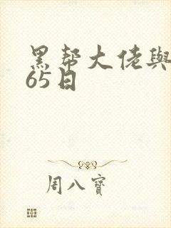 黑帮大佬与我365日