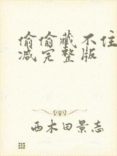 偷偷藏不住无删减完整版