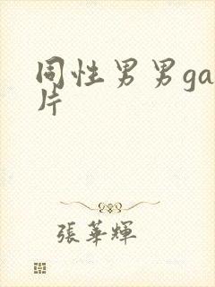 同性男男gay片