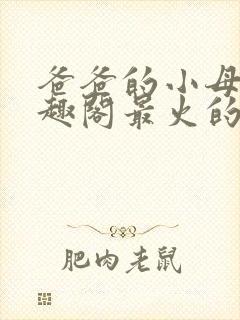 爸爸的小母狗笔趣阁最火的一句