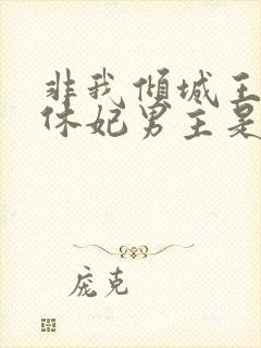 非我倾城王爷要休妃男主是谁