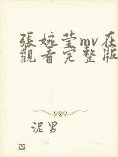 张婉莹mv在线观看完整版高清