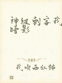 神级刺客我即为暗影