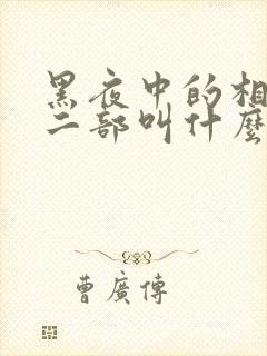 黑夜中的相拥第二部叫什么