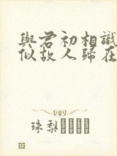 与君初相识·恰似故人归在线看封面