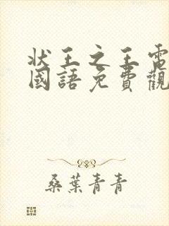 状王之王电视剧国语免费观看全集