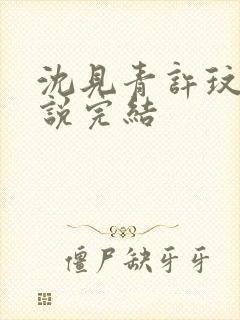 沈见青许玟玟小说完结封面