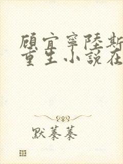 顾宜宁陆斯承的重生小说在线阅读