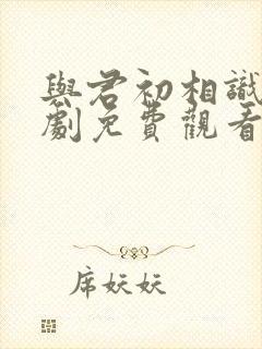 与君初相识电视剧免费观看高清版