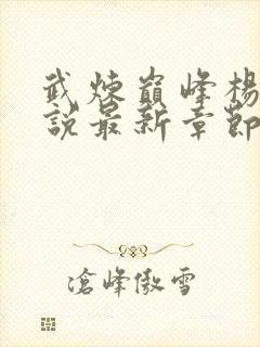 武炼巅峰杨开小说最新章节列表