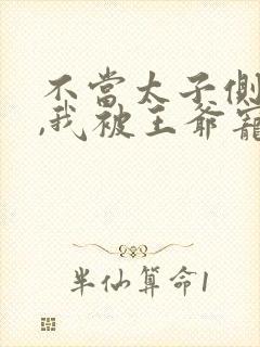 不当太子侧妃后,我被王爷宠成宝