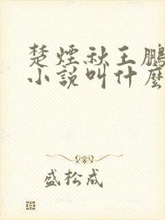 楚烟秋王鹏原著小说叫什么