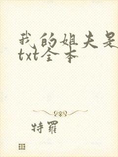 我的姐夫是太子txt全本