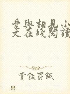 爱与相见小说全文在线阅读