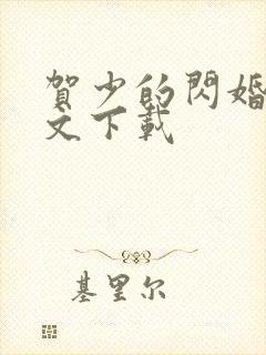 贺少的闪婚暖全文下载