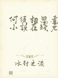 何须相思煮余年小说在线免费阅读