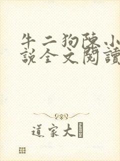 牛二狗陈小燕小说全文阅读