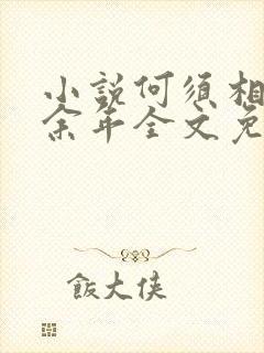 小说何须相思煮余年全文免费阅读