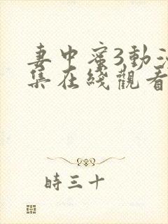 妻中蜜3动漫全集在线观看